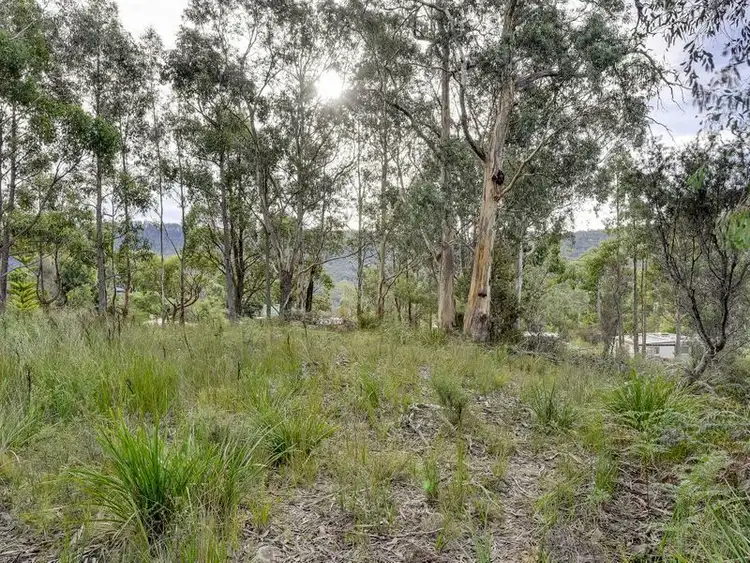 Seventh view of Homely land listing, 46 Ferntree Road, Eaglehawk Neck TAS 7179