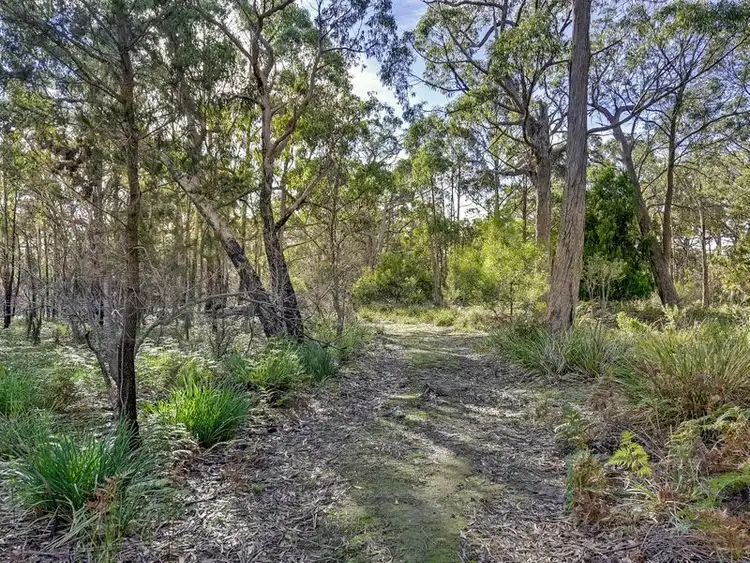 85 Skeggs Avenue, White Beach TAS 7184