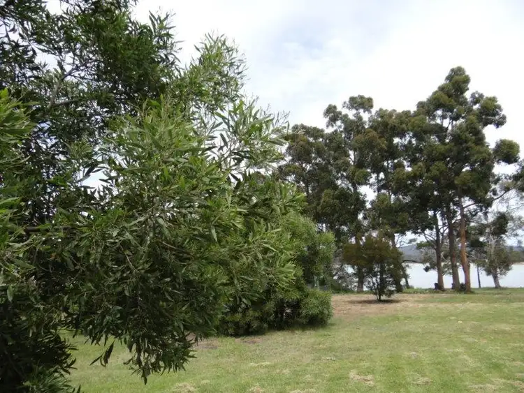 Fifth view of Homely land listing, 10 Cliffords Road, Saltwater River TAS 7186