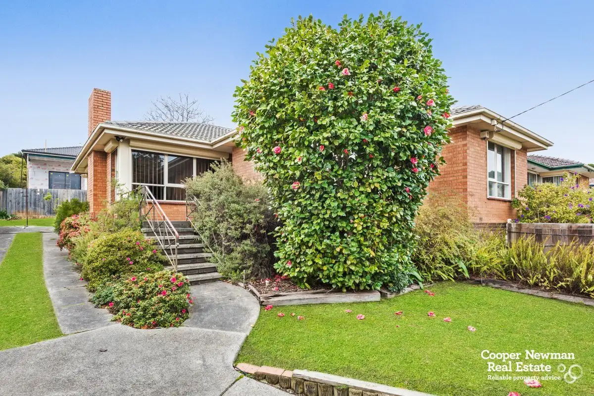 Main view of Homely house listing, 20 Middleborough Road, Burwood East VIC 3151