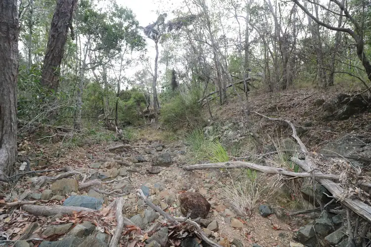 Main view of Homely land listing, LOT 133, 327 Berthelsens Road, Booyal QLD 4671
