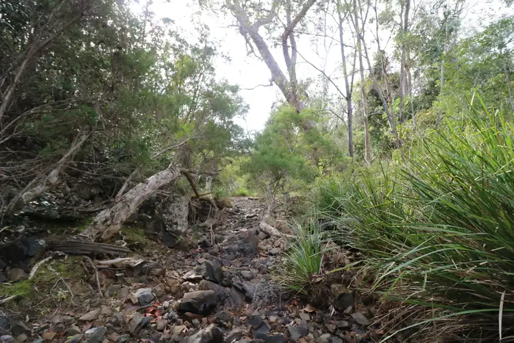 Third view of Homely land listing, LOT 133, 327 Berthelsens Road, Booyal QLD 4671