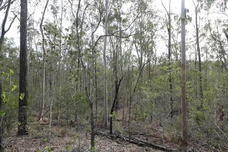 Seventh view of Homely land listing, LOT 133, 327 Berthelsens Road, Booyal QLD 4671