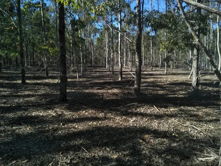 Sixth view of Homely rural property listing, 289 Mckenzies Road, North Isis QLD 4660