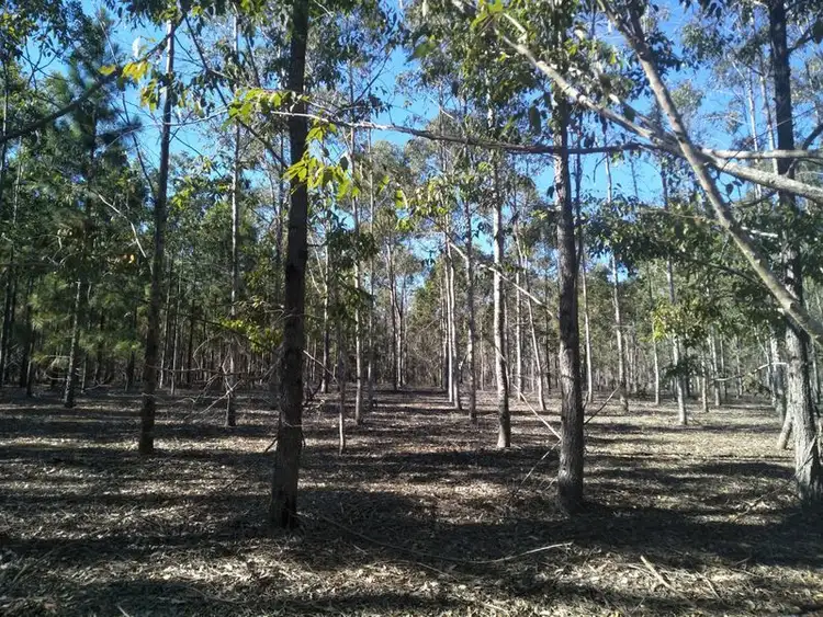 Seventh view of Homely rural property listing, 289 Mckenzies Road, North Isis QLD 4660