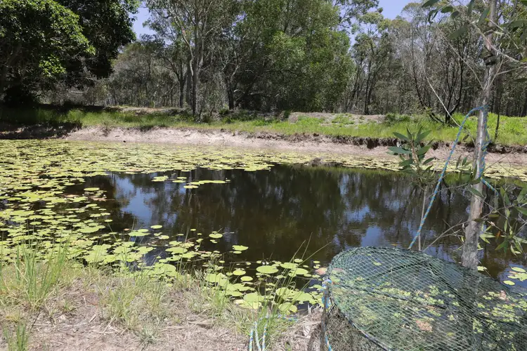 Seventh view of Homely land listing, 1542 Buxton Road, Buxton QLD 4660