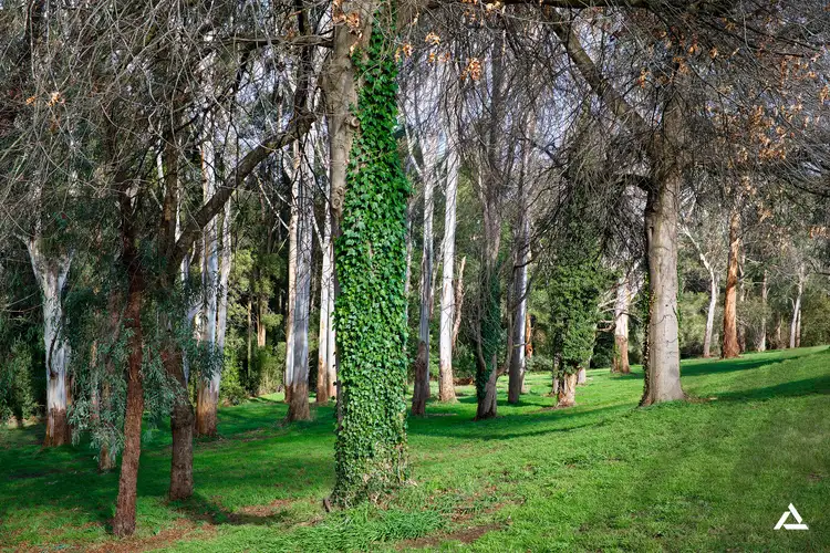 Seventh view of Homely house listing, 37 Scenic Road, Warragul VIC 3820