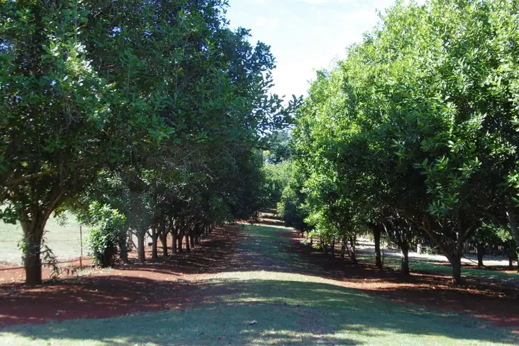 Sixth view of Homely house listing, 258 Atc Hall Road, North Isis QLD 4660