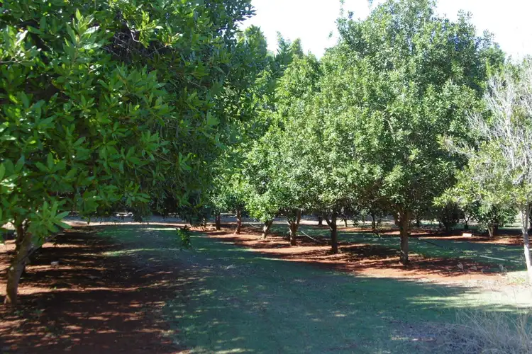 Seventh view of Homely house listing, 258 Atc Hall Road, North Isis QLD 4660