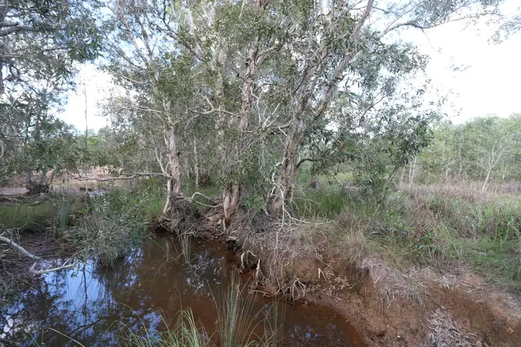 Fourth view of Homely rural property listing, LOT 22 Mckenzies Road, North Isis QLD 4660