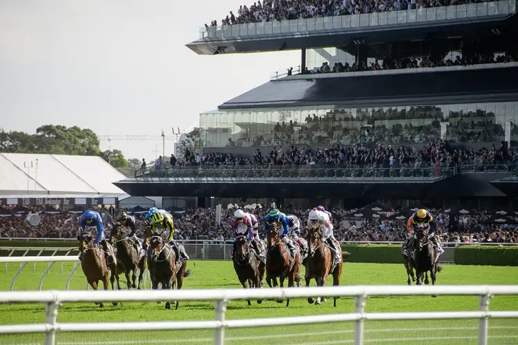 Sixth view of Homely house listing, 5 Farnham Avenue, Randwick NSW 2031