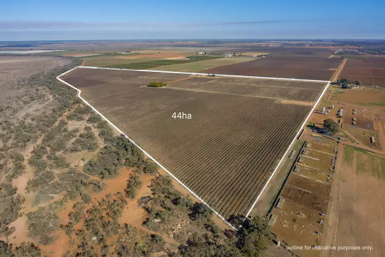 Main view of Homely rural property listing, 110 Swamp Road, Red Cliffs VIC 3496