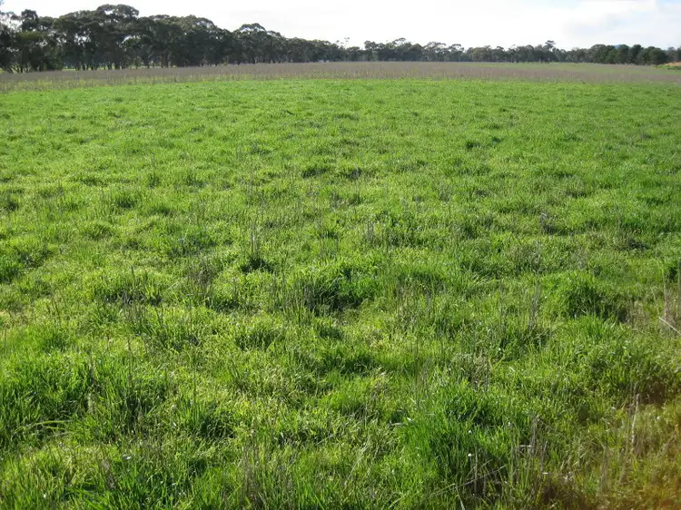 CA 48 Sec Harpers Lane, Wedderburn VIC 3518