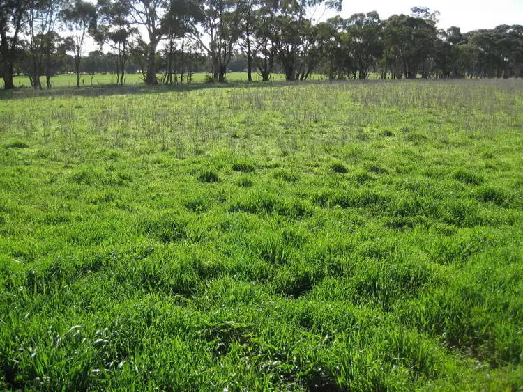 Sixth view of Homely rural property listing, CA 48 Sec Harpers Lane, Wedderburn VIC 3518