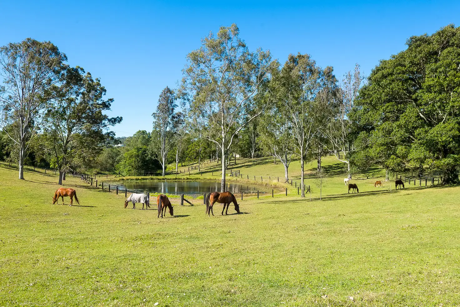Main view of Homely house listing, 45 Old Mount Samson Road, Mount Samson QLD 4520