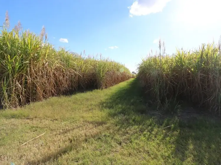 Main view of Homely rural property listing, 290 Maranos Road, Farnsfield QLD 4660
