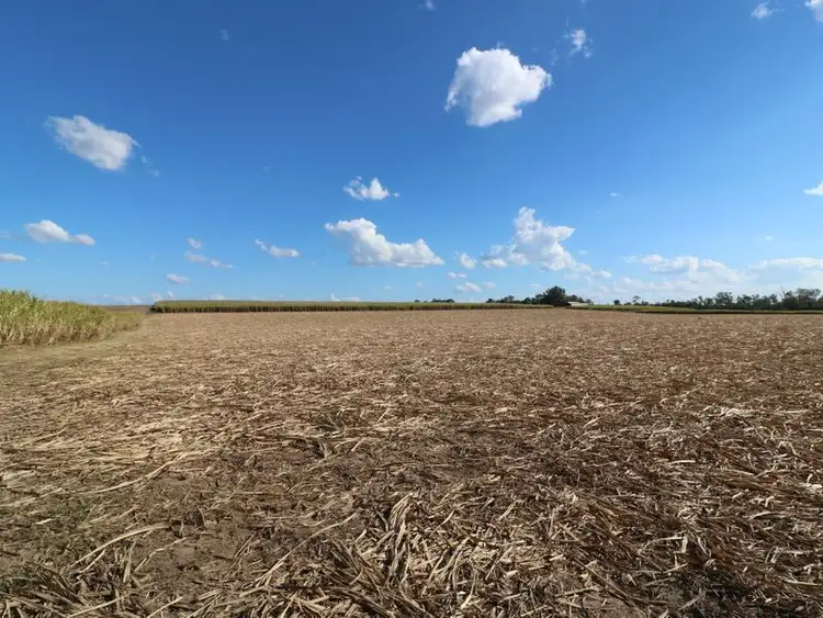 Third view of Homely rural property listing, 290 Maranos Road, Farnsfield QLD 4660