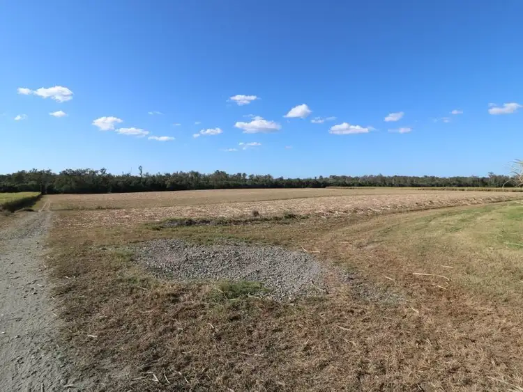 Sixth view of Homely rural property listing, 290 Maranos Road, Farnsfield QLD 4660