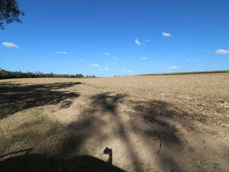 Seventh view of Homely rural property listing, 290 Maranos Road, Farnsfield QLD 4660