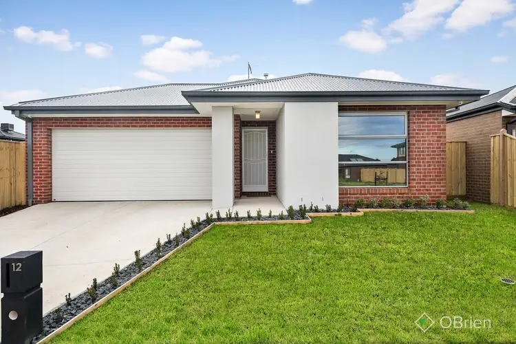12 Songlark Crescent, Carrum Downs VIC 3201