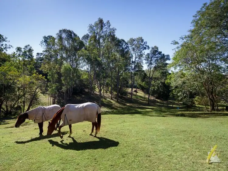 Fourth view of Homely rural property listing, 85 Pullenvale Road, Pullenvale QLD 4069