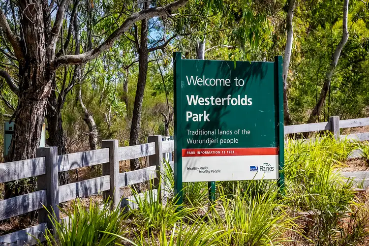 Fourth view of Homely house listing, 94 Wood Street, Templestowe VIC 3106