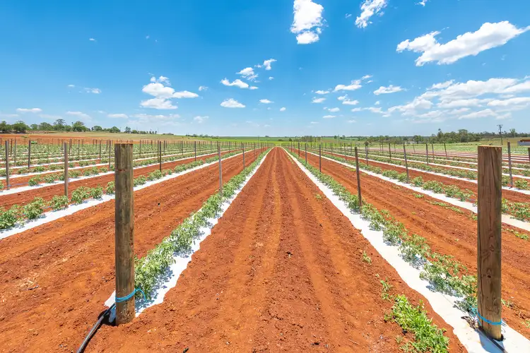 Main view of Homely rural property listing, 410 Knockroe Road, North Isis QLD 4660
