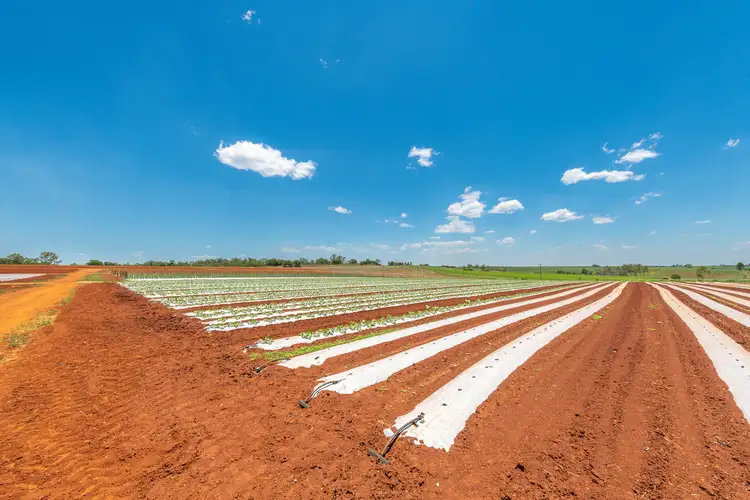 Third view of Homely rural property listing, 410 Knockroe Road, North Isis QLD 4660