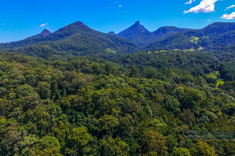 Second view of Homely rural property listing, 1091 Kyogle Road, Dum Dum NSW 2484