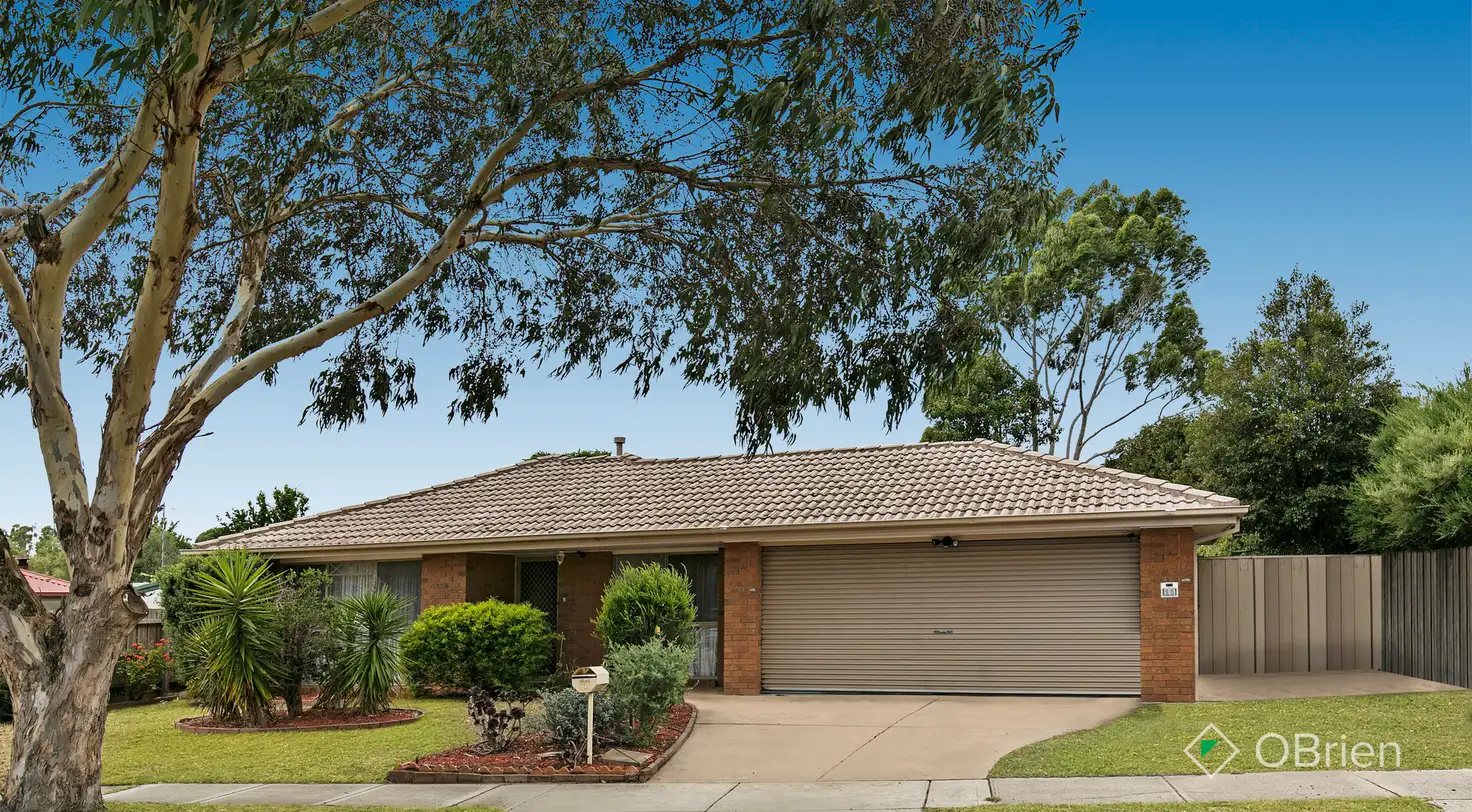 Main view of Homely house listing, 11 Overall Drive, Skye VIC 3977