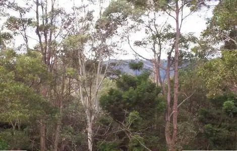 Third view of Homely land listing, 45 Lyrebird Ridge Road, Springbrook QLD 4213