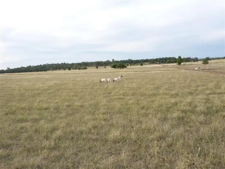 Fifth view of Homely rural property listing, Lot 2 Narromine Road, Dubbo NSW 2830
