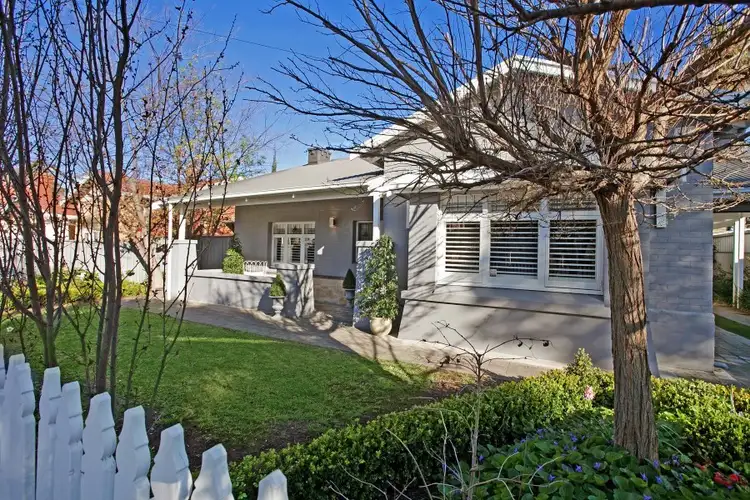 31 Olive Street, Parkside SA 5063