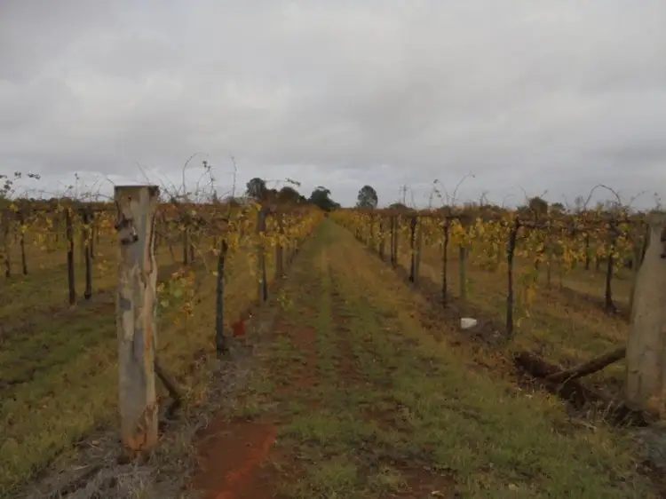 Fourth view of Homely rural property listing, 7E Satelberg Road, Robinvale VIC 3549