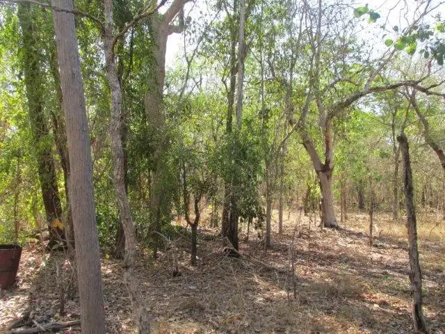 Main view of Homely land listing, 500 Peacock Road, Darwin River NT 841