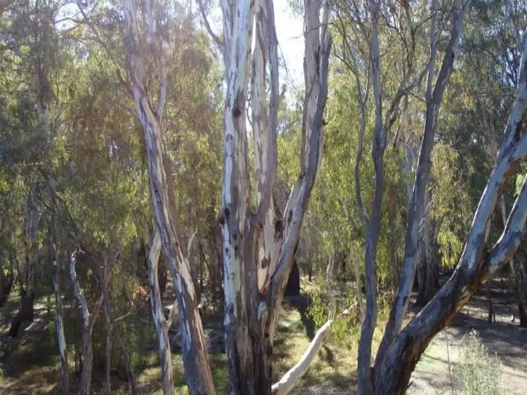 Third view of Homely house listing, 7 Dolan Court, Mathoura NSW 2710