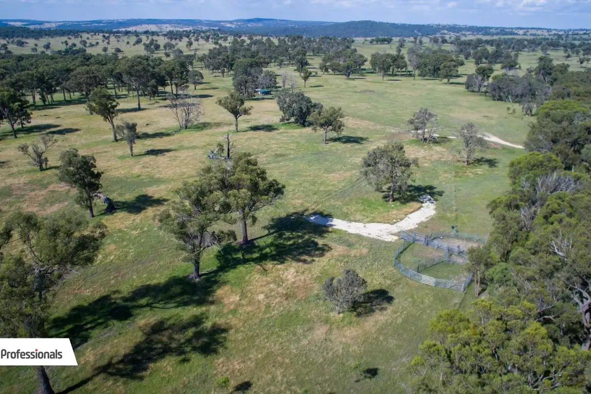Main view of Homely rural property listing, 489 Top Congi Road, Tamworth NSW 2340