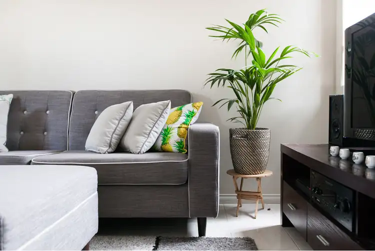 2/44 Keerong Avenue, Russell Vale NSW 2517