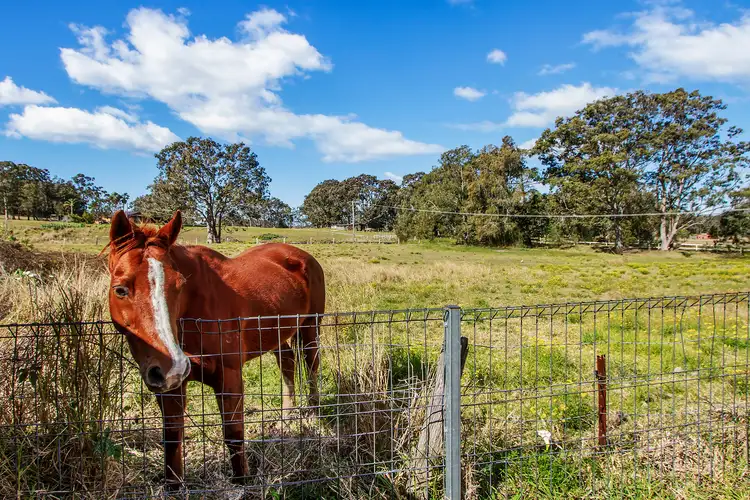 Fourth view of Homely house listing, 199 Pollock Avenue, Wyong NSW 2259