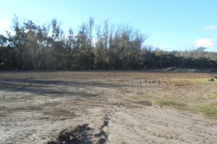 Second view of Homely house listing, 41 Krakouer Street, Collie WA 6225