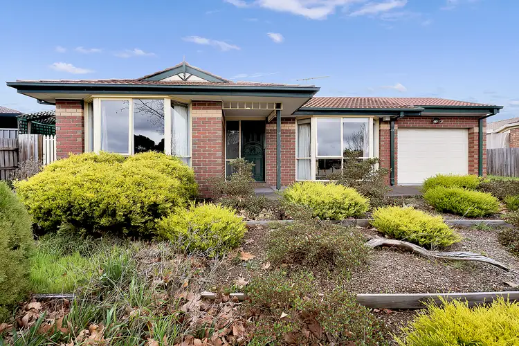 16 Newlyn Drive, Craigieburn VIC 3064
