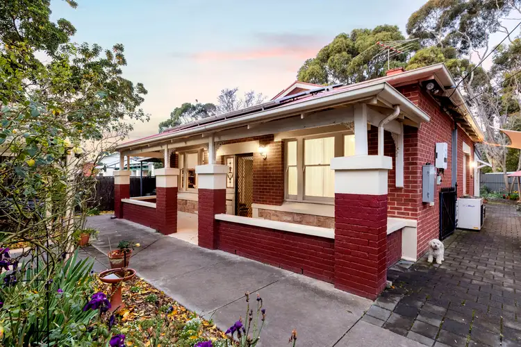 51 East Avenue, Millswood SA 5034