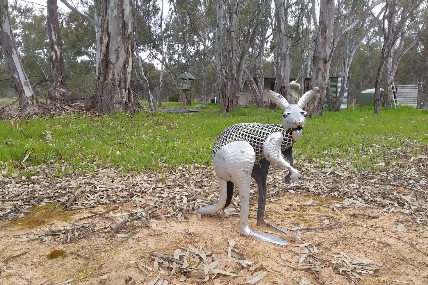 Main view of Homely rural property listing, 29 Burnt Creek Lane, Dunolly VIC 3472