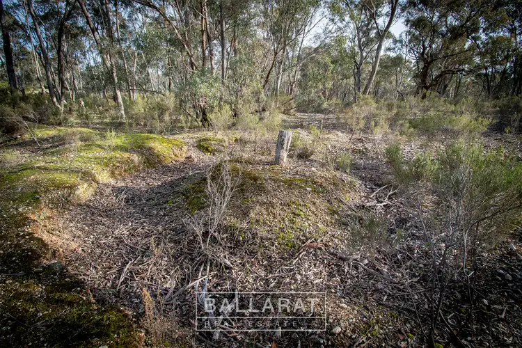 Fifth view of Homely rural property listing, Block 1 Ca Landrigan Road Daisy Hill Via, Maryborough VIC 3465