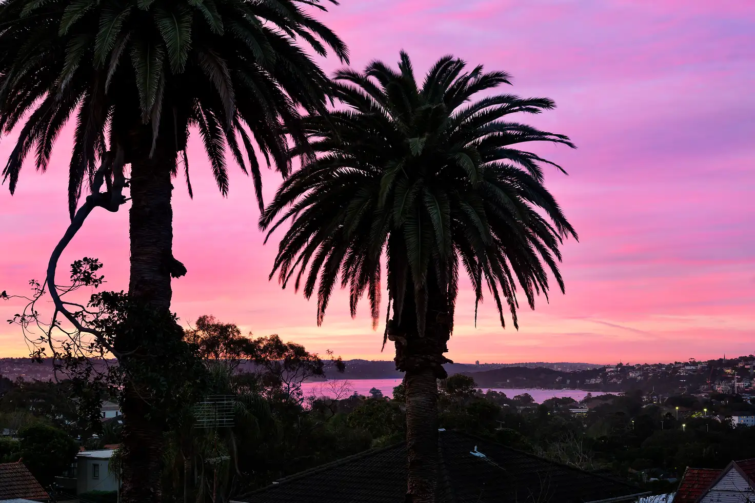 Main view of Homely apartment listing, 1/33 Benelong Crescent, Bellevue Hill NSW 2023