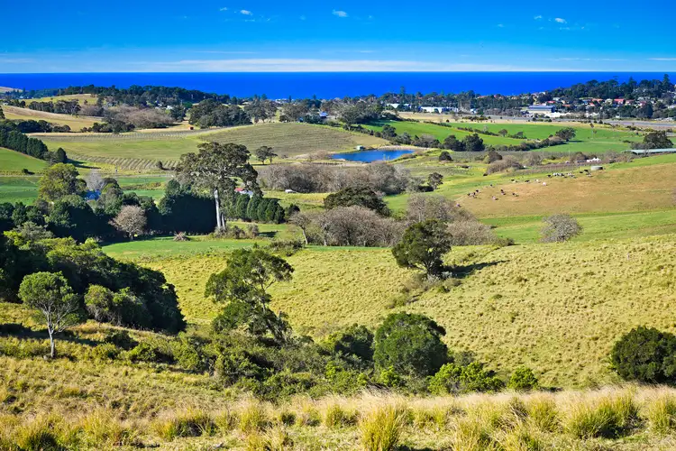 Main view of Homely rural property listing, 125 Willowvale Road, Gerringong NSW 2534