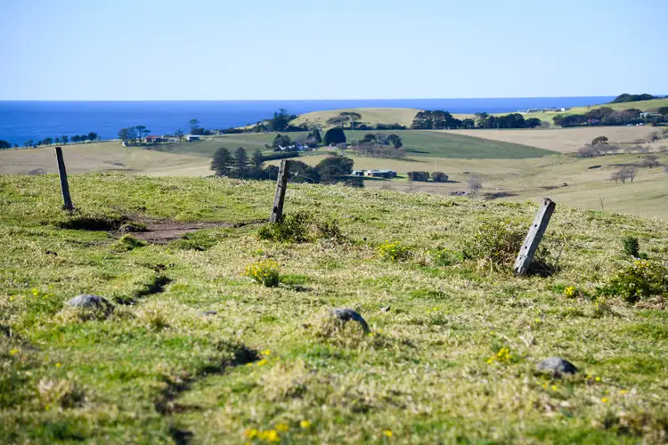 Sixth view of Homely rural property listing, 125 Willowvale Road, Gerringong NSW 2534
