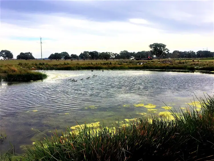 Fifth view of Homely land listing, 7 Chance Street, Greenvale VIC 3059