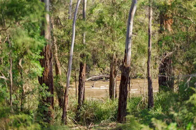 Third view of Homely house listing, 42 Osborne Road, North Warrandyte VIC 3113