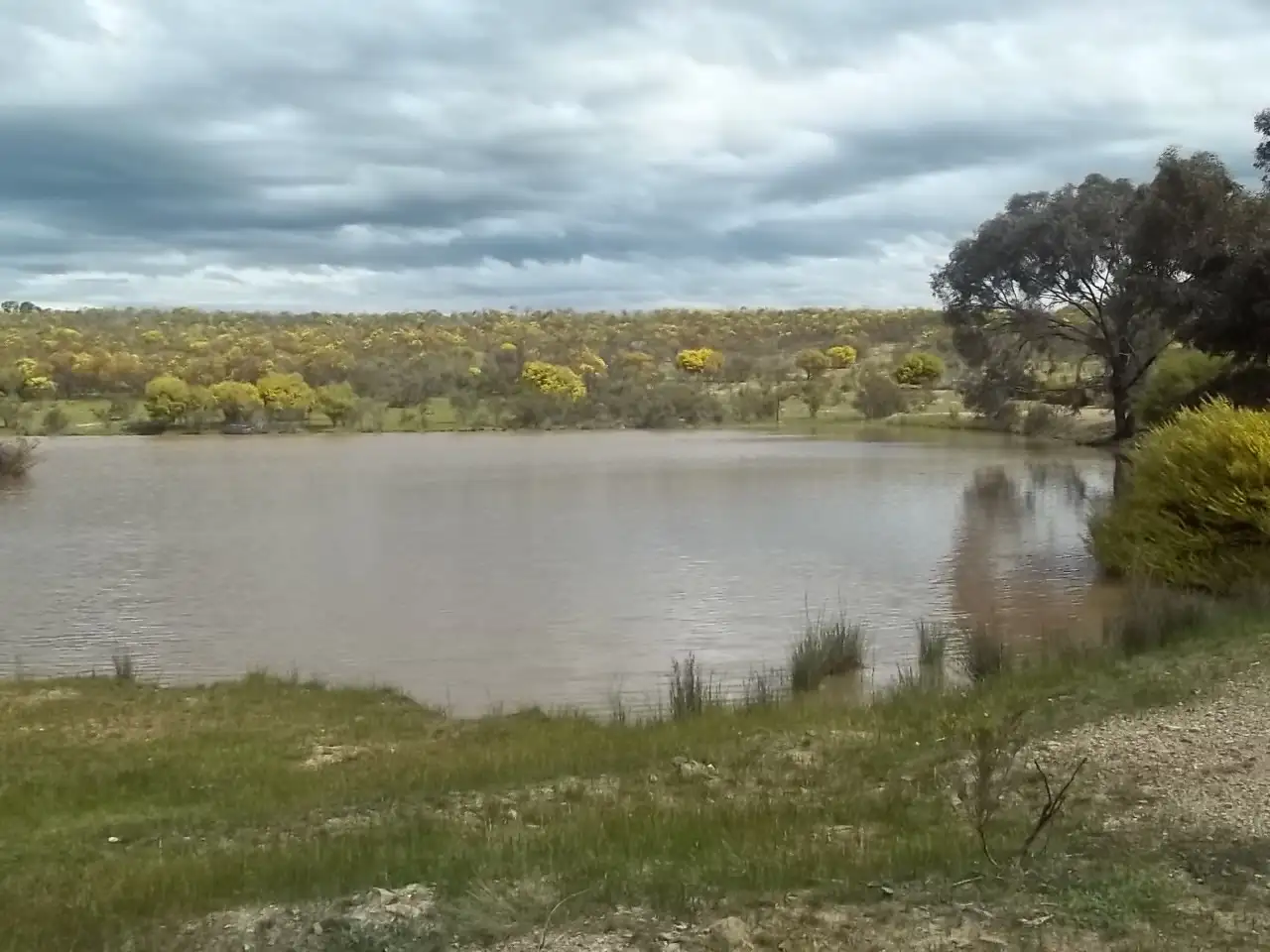 Main view of Homely rural property listing, Lot 1 Wychitella Road, Wedderburn VIC 3518